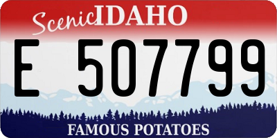 ID license plate E507799