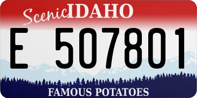 ID license plate E507801