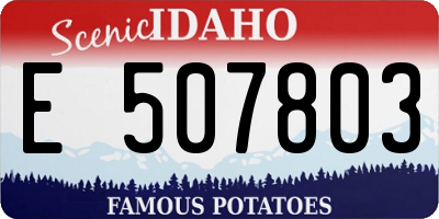 ID license plate E507803