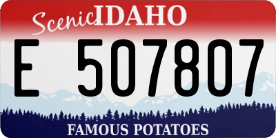 ID license plate E507807
