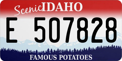 ID license plate E507828