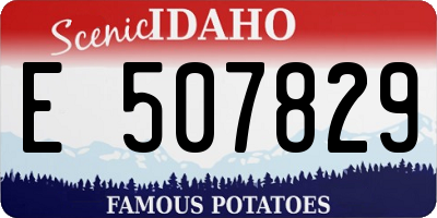 ID license plate E507829