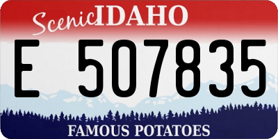 ID license plate E507835