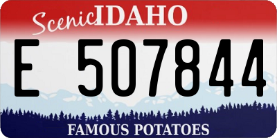 ID license plate E507844