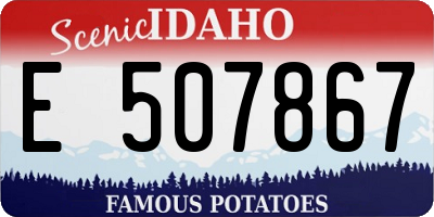 ID license plate E507867