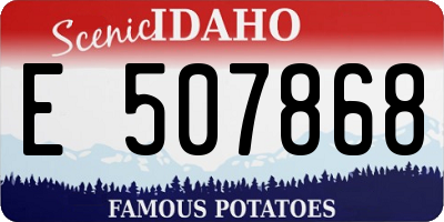 ID license plate E507868