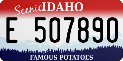 ID license plate E507890