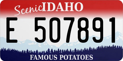 ID license plate E507891