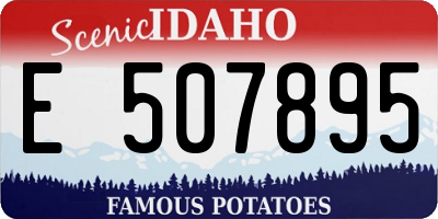ID license plate E507895