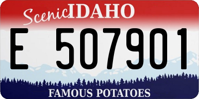 ID license plate E507901