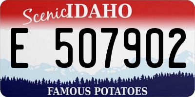 ID license plate E507902