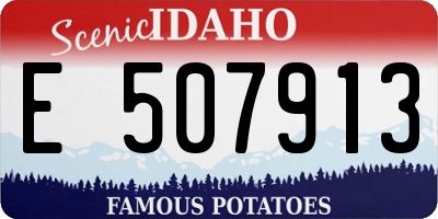 ID license plate E507913