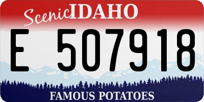 ID license plate E507918