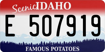 ID license plate E507919