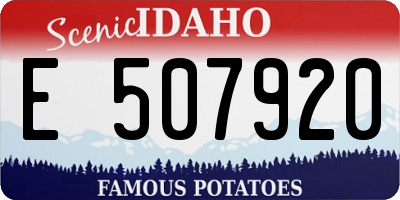 ID license plate E507920