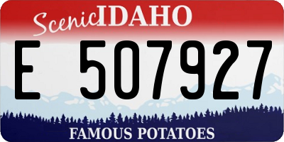 ID license plate E507927