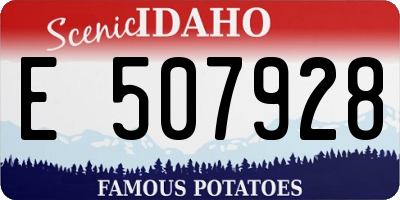 ID license plate E507928