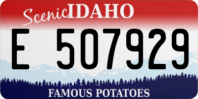 ID license plate E507929