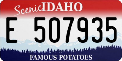 ID license plate E507935