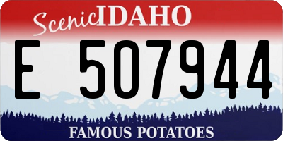 ID license plate E507944