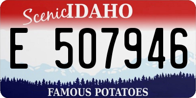 ID license plate E507946