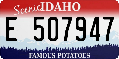 ID license plate E507947