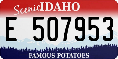 ID license plate E507953