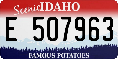 ID license plate E507963