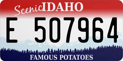 ID license plate E507964