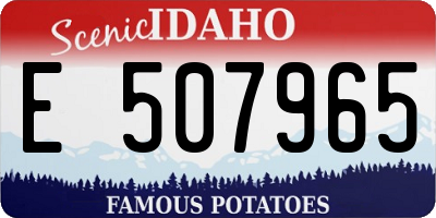 ID license plate E507965