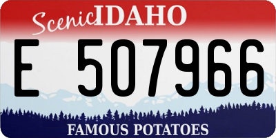 ID license plate E507966