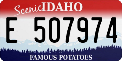 ID license plate E507974