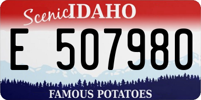 ID license plate E507980