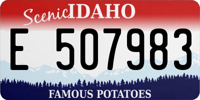 ID license plate E507983