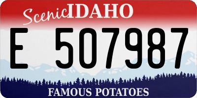 ID license plate E507987