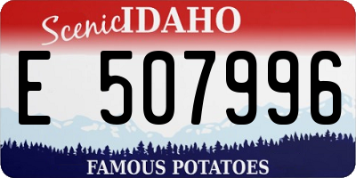 ID license plate E507996