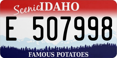 ID license plate E507998