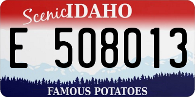 ID license plate E508013