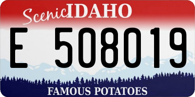 ID license plate E508019