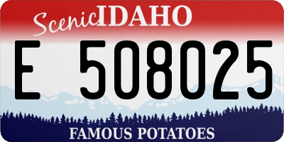 ID license plate E508025