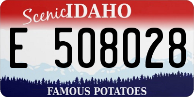 ID license plate E508028