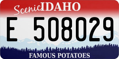 ID license plate E508029
