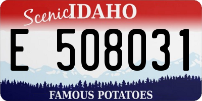 ID license plate E508031