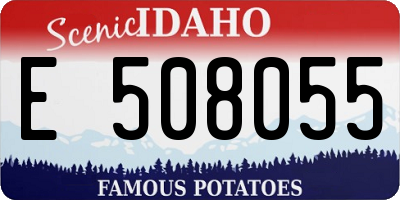 ID license plate E508055