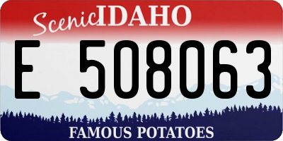 ID license plate E508063