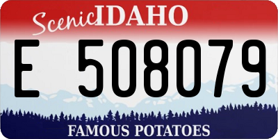 ID license plate E508079