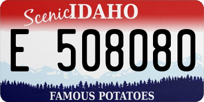ID license plate E508080