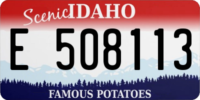 ID license plate E508113