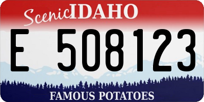 ID license plate E508123