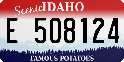 ID license plate E508124
